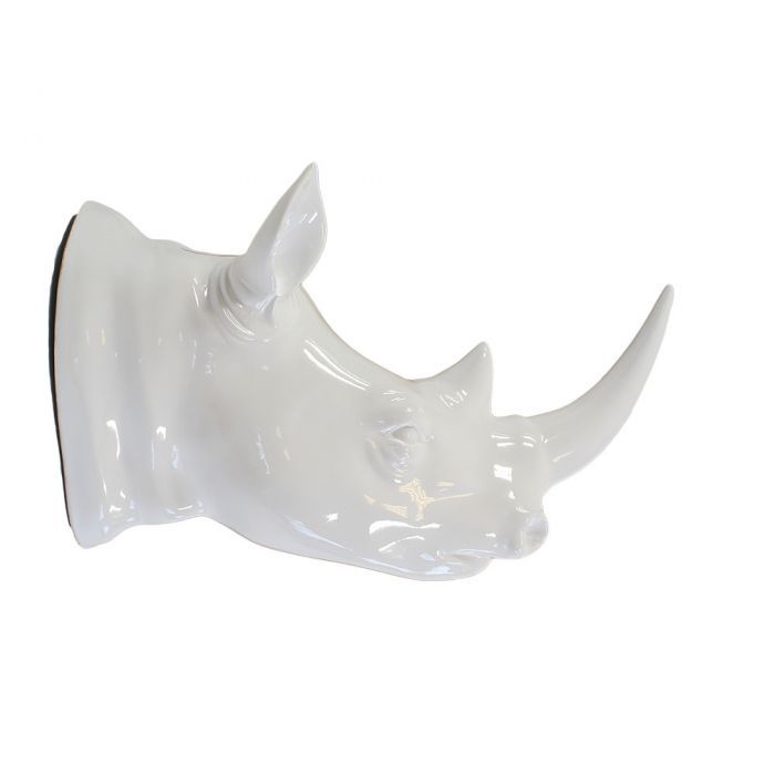 Tête de Rhinocéros