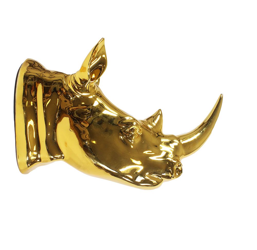 Tête de Rhinocéros