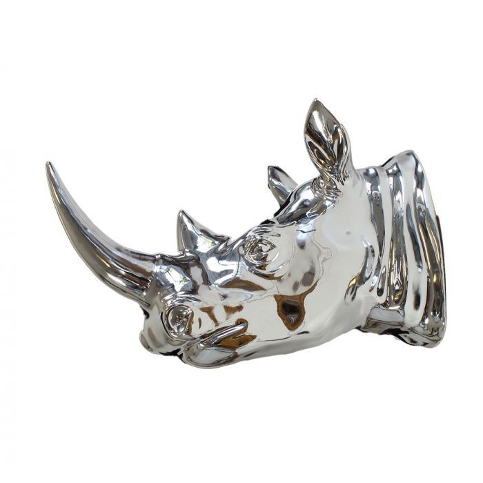 Tête de Rhinocéros